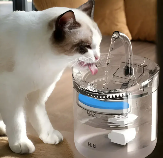 Fuente de agua para mascotas - gato tomando agua